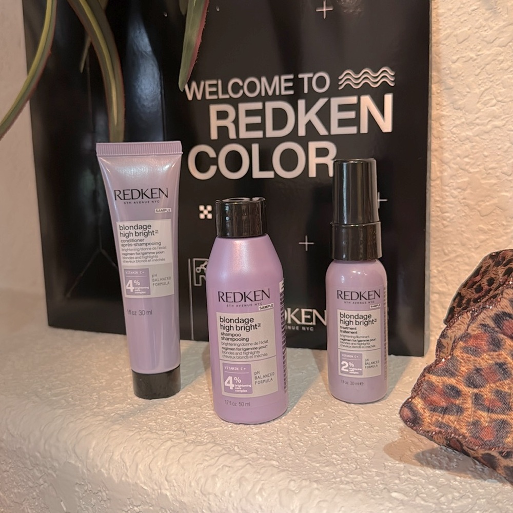Redken Blondage High Bright Try it Travel Set!